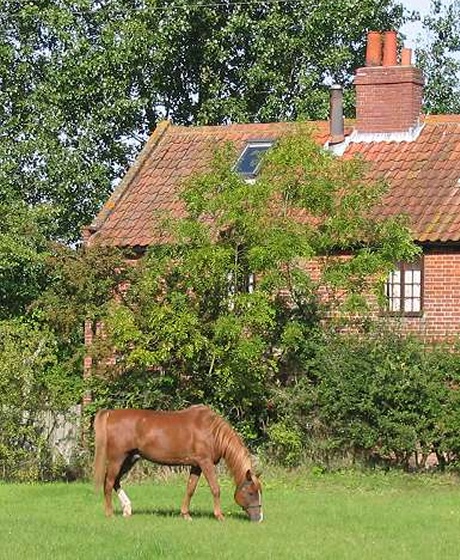 Field Cottage Second Paddock