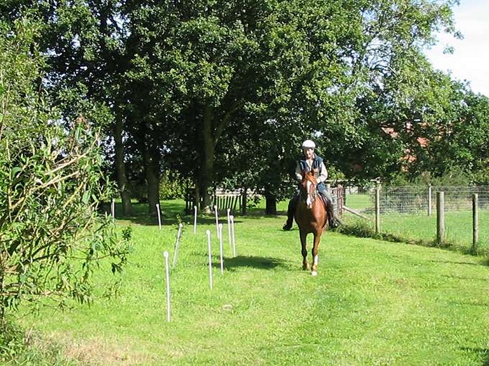 Paddock Path